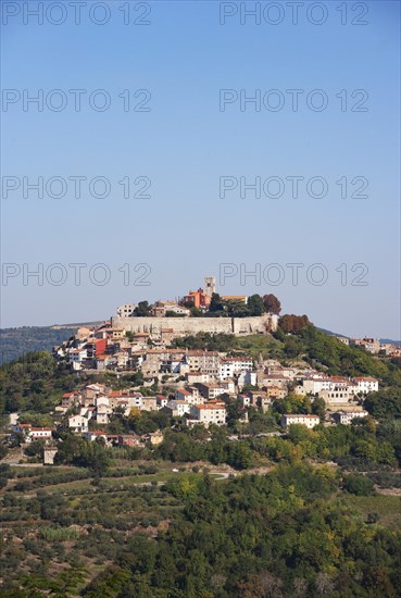 Motovun