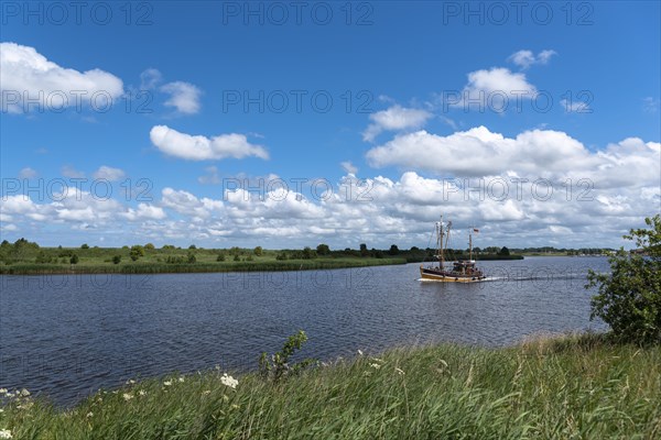 Crab cutter in the Leyhoerner-Sieltief