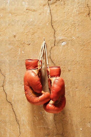 Boxing gloves