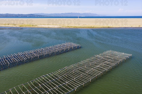 Mussel and oyster farming in the Bahia del Fangar