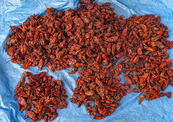 King Chili