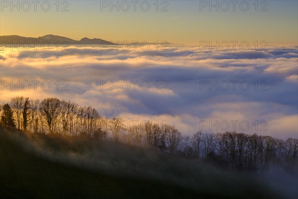 Sunset over high fog