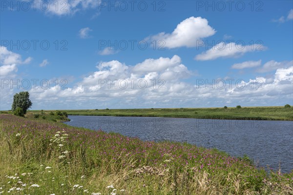 Landscape at the Leyhoerner-Sieltief