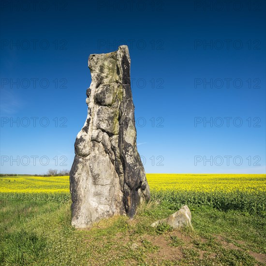 Stone virgin