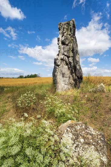 Stone virgin