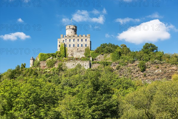 Castle Pyrmont in Roes