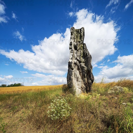Stone virgin