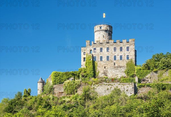 Castle Pyrmont in Roes