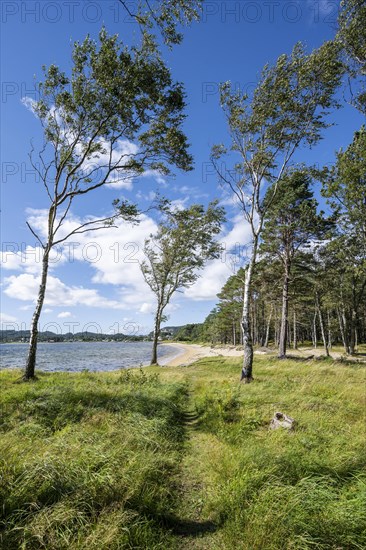 Coast in Furulunden nature park Park by Mannefjord