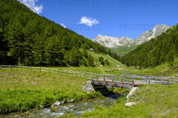 Bridge