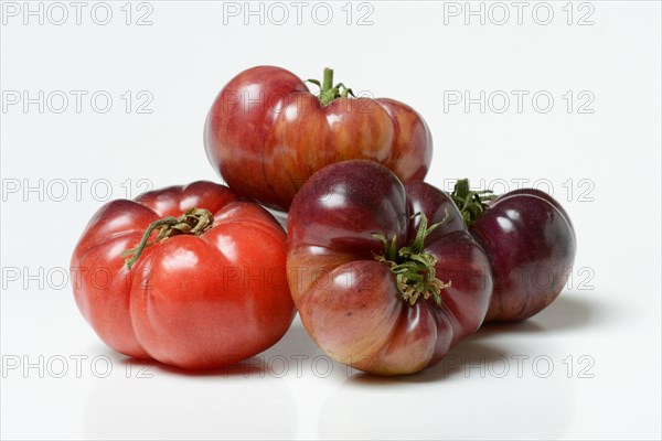 Tomato Mar Azul