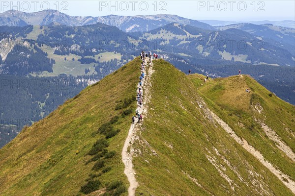Hiker on the ridge trail Fellhorngrat between Fellhorn summit and Soellerkopf