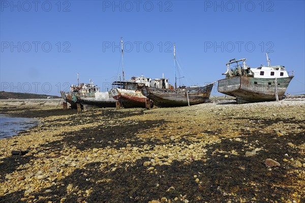 Shipwrecks ship graveyard in the port of Camaret-sur-Mer on the Crozon peninsula