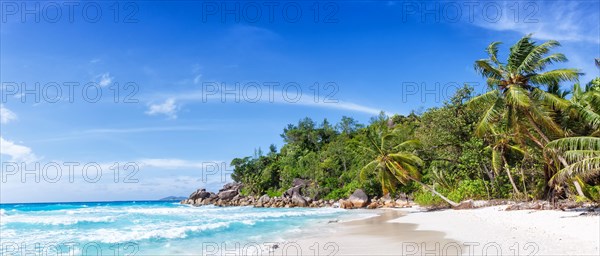 Anse Georgette beach holiday island Praslin palm panorama sea