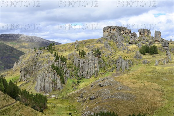 Rock formations in the Stone Forest