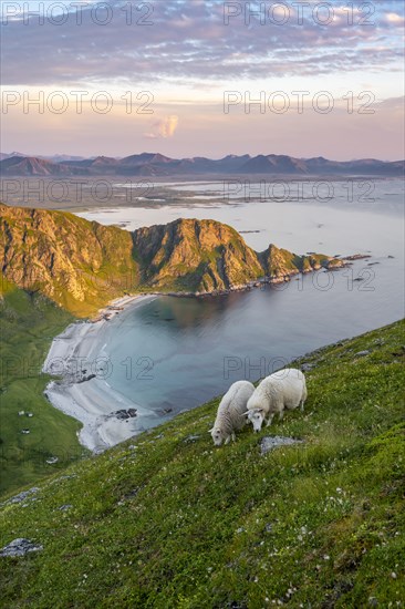 Evening atmosphere
