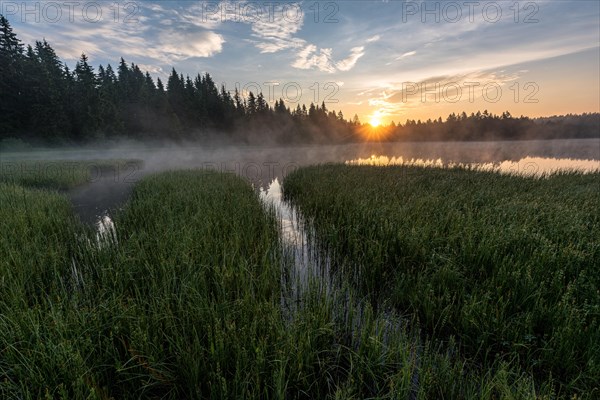Moor lake at sunrise with morning haze