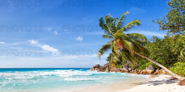 Anse Georgette beach palm panorama paradise ocean sea water on Praslin island