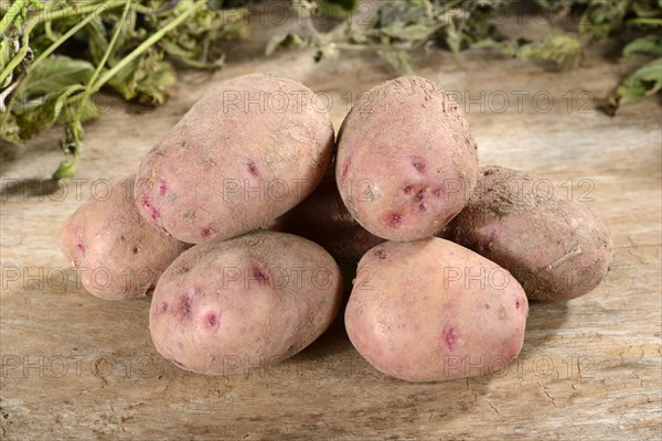 Potatoes