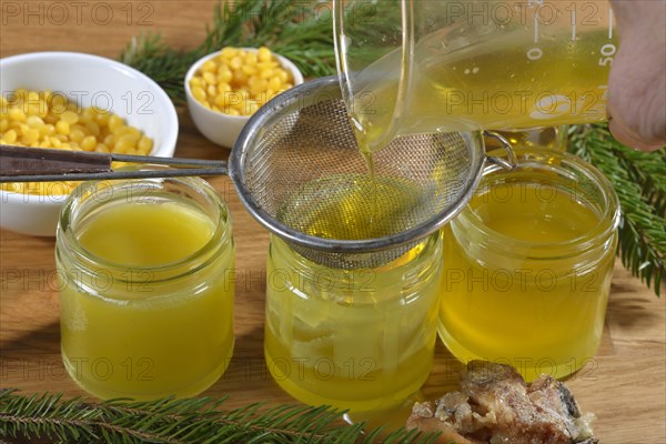 Production of spruce resin ointment