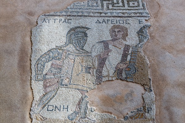 Floor mosaic