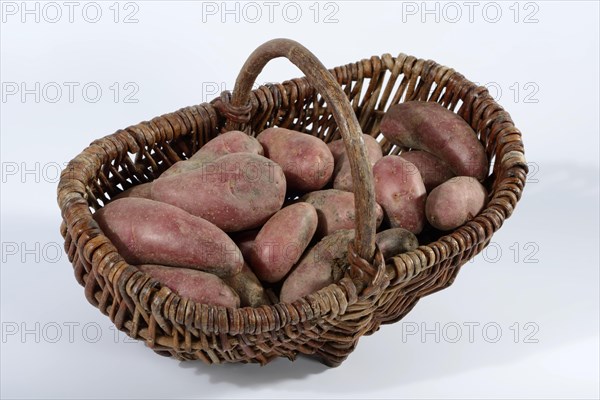 Potatoes