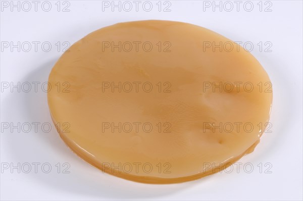 Kombucha