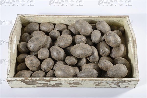 Potatoes