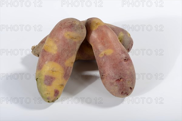 Potatoes