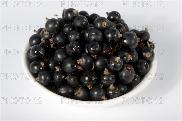Black currants
