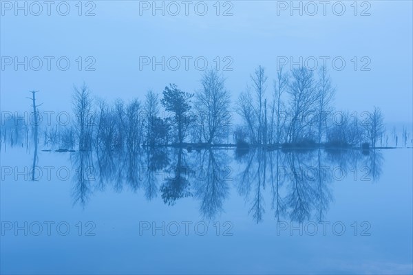 Moor at the blue hour
