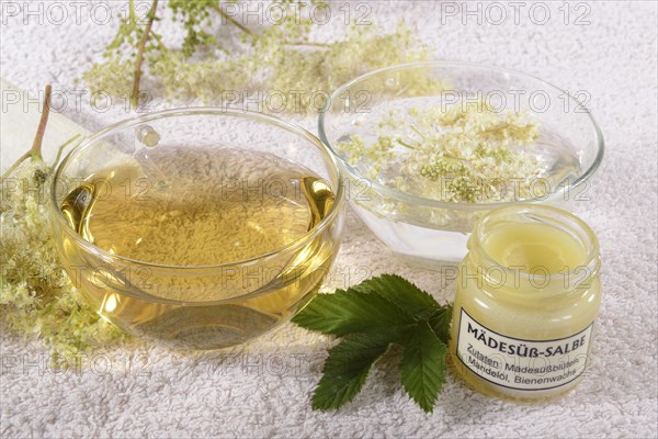 Cup meadowsweet tea