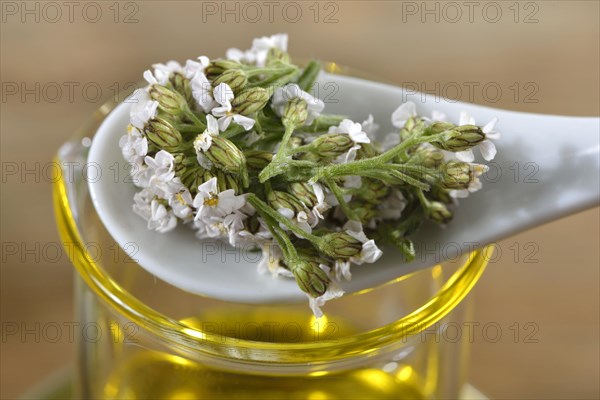 Production Yarrow and marigold ointment