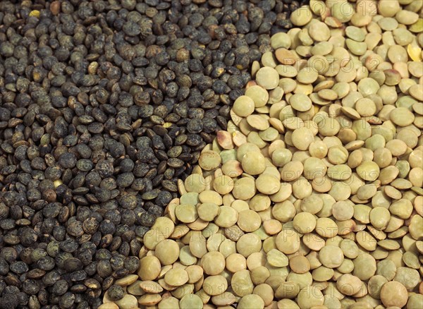 French green Puy lentils