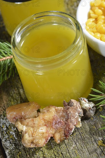 Production of spruce resin ointment