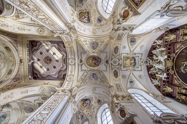 Ceiling vault with frescoes