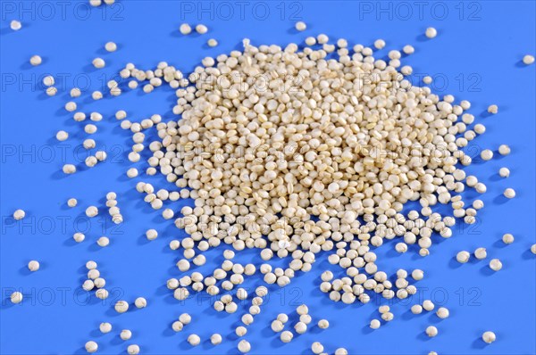 Quinoa