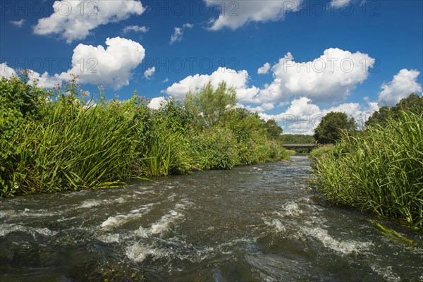 Fish ladder