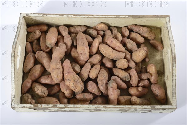 Potatoes