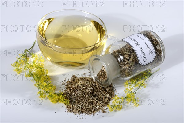Cup of labradoid tea