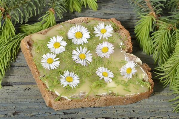 Spelt bread with spruce tips