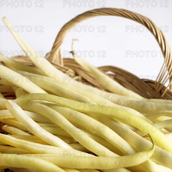 French bean