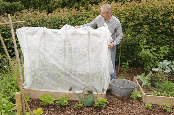 Organic garden