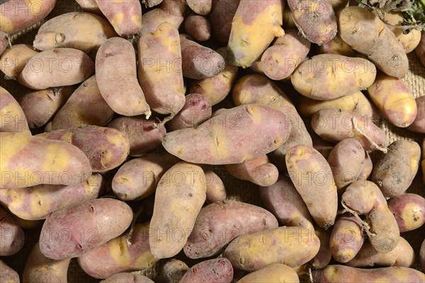 Potatoes