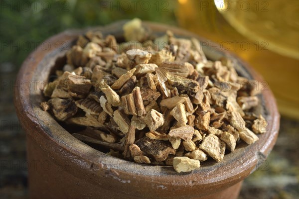 Gentian root