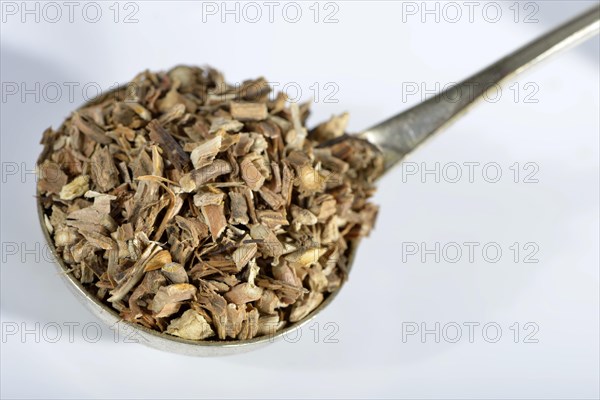 Sarsaparilla roots