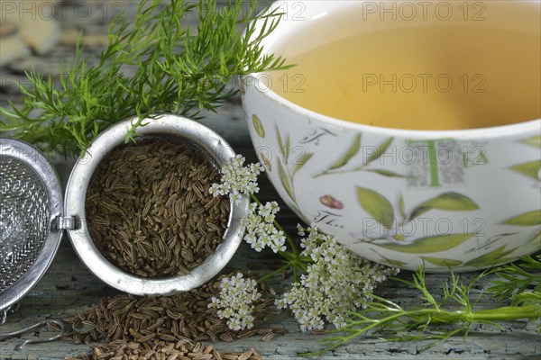 Caraway