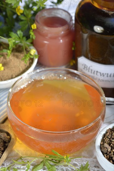 Tormentil ointment