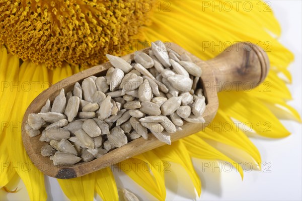 Hulled sunflower seeds
