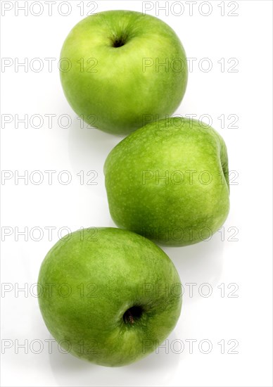 Malus domestica